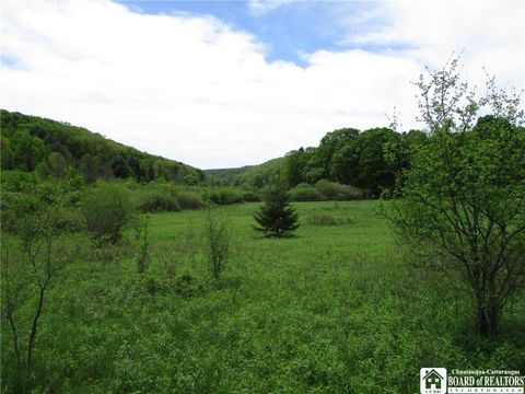 Vacant Land For Sale - Yankee Road<br/> Ischua, NY 14743