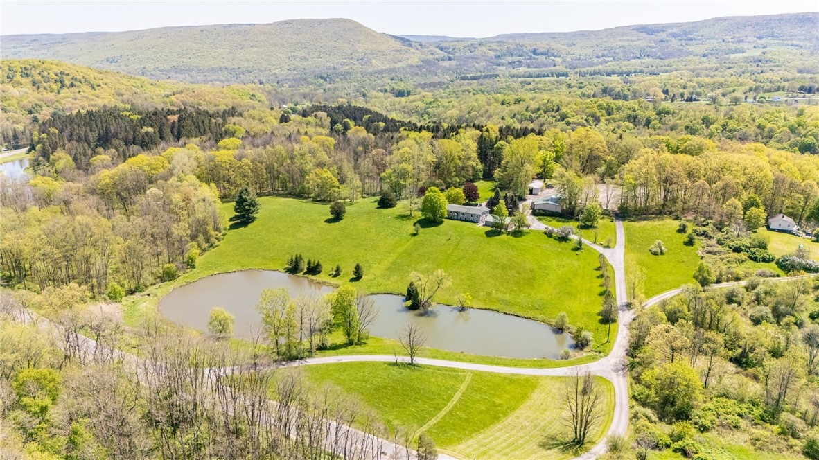 7425 Eelpot Road, Naples, New York image 37