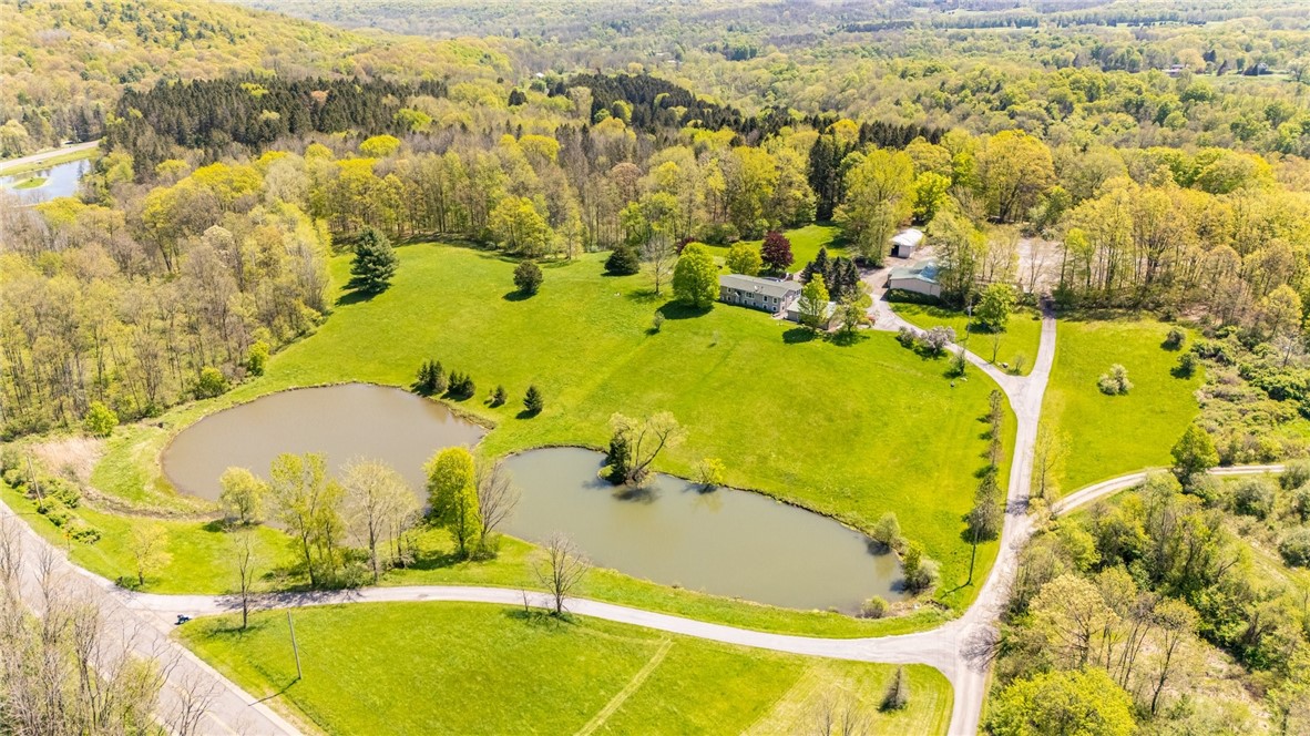 7425 Eelpot Road, Naples, New York image 1
