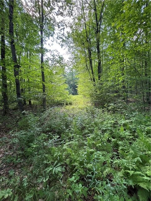 Vacant Land For Sale - 172 Aurora Drive<br/> Chenango County, Norwich, NY 13815