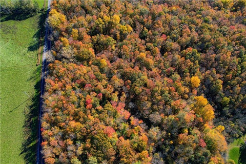 Tiny photo for Linden Road, Bethany, NY 14054 (MLS # R1724320)
