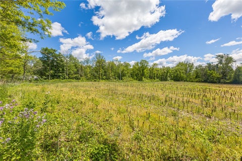 Tiny photo for 17156 Ladue Road, Clarendon, NY 14470 (MLS # R1714673)
