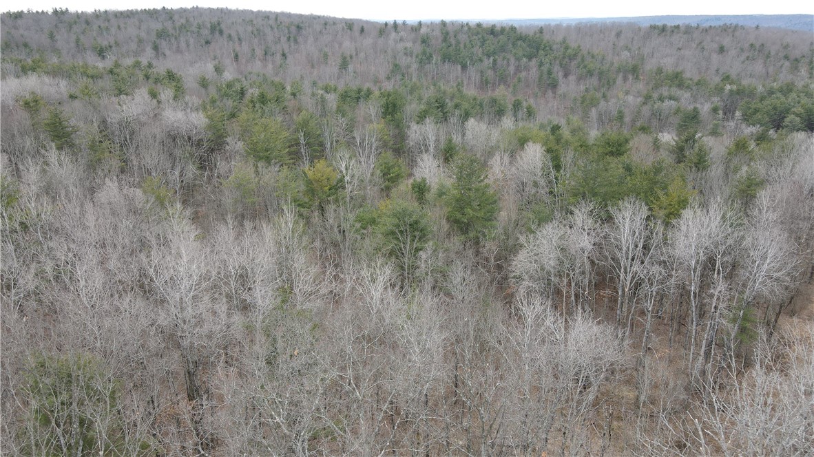 Welty Road, Lindley, New York image 21