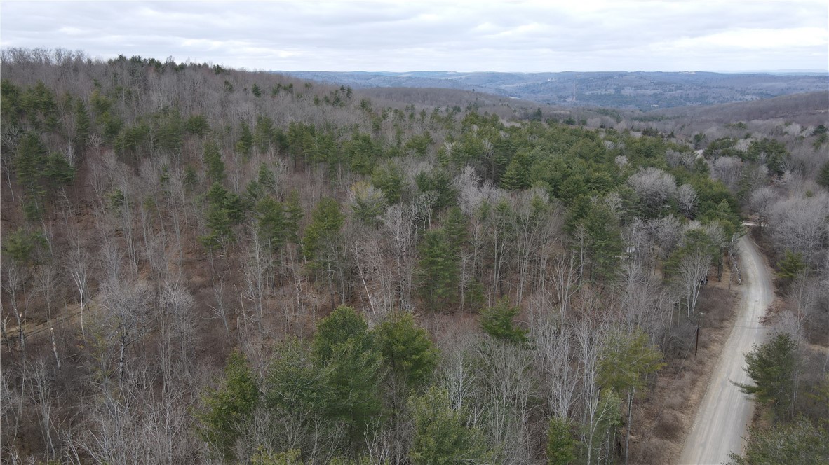 Welty Road, Lindley, New York image 18