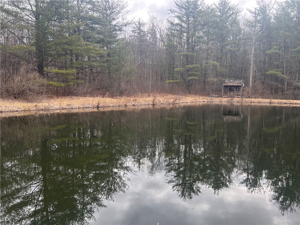 Welty Road, Lindley, New York image 2