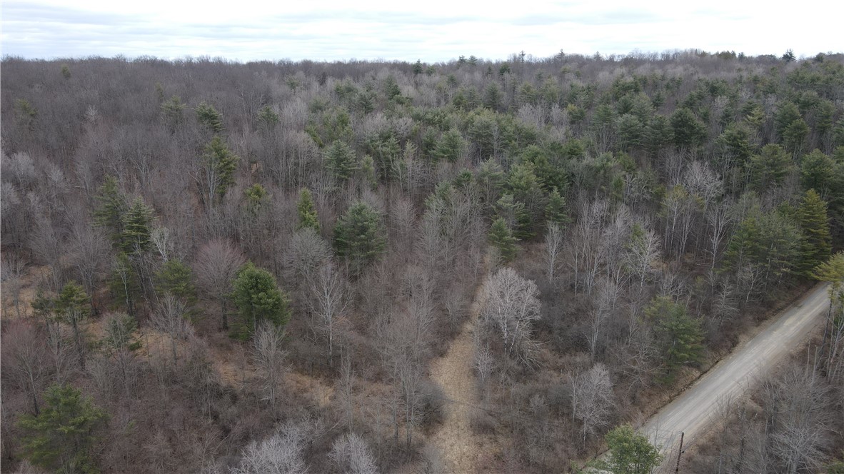 Welty Road, Lindley, New York image 15