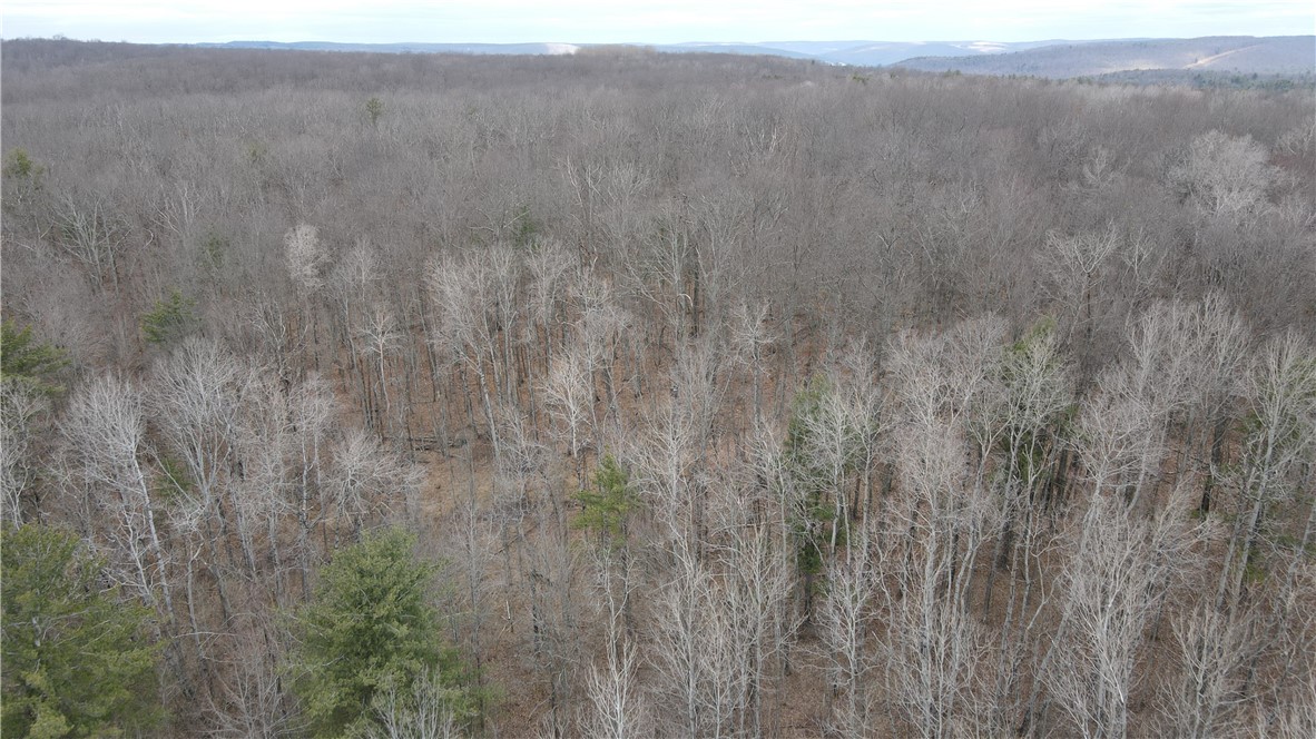 Welty Road, Lindley, New York image 20