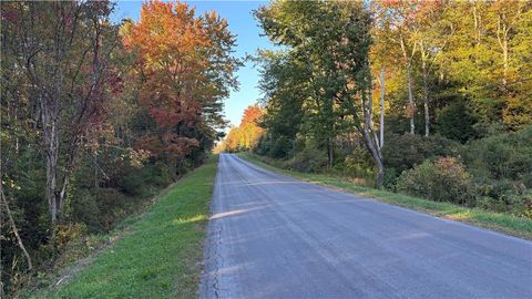 Vacant Land For Sale - 239 White Road<br/> Oswego, NY 13131