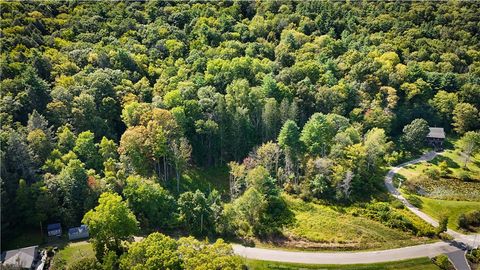 Vacant Land For Sale - Worden Road<br/> Barton, NY 14892