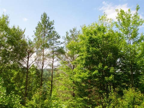 Vacant Land For Sale - John B Hewitt Spur<br/> Roxbury, NY 12421