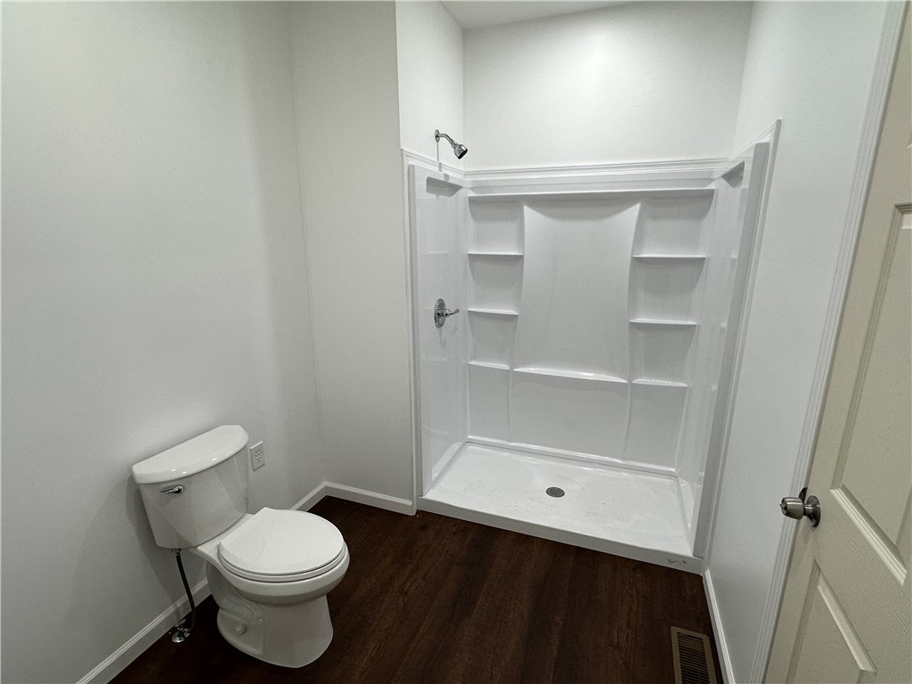 258 Mcmaster Street, Bath, New York image 15