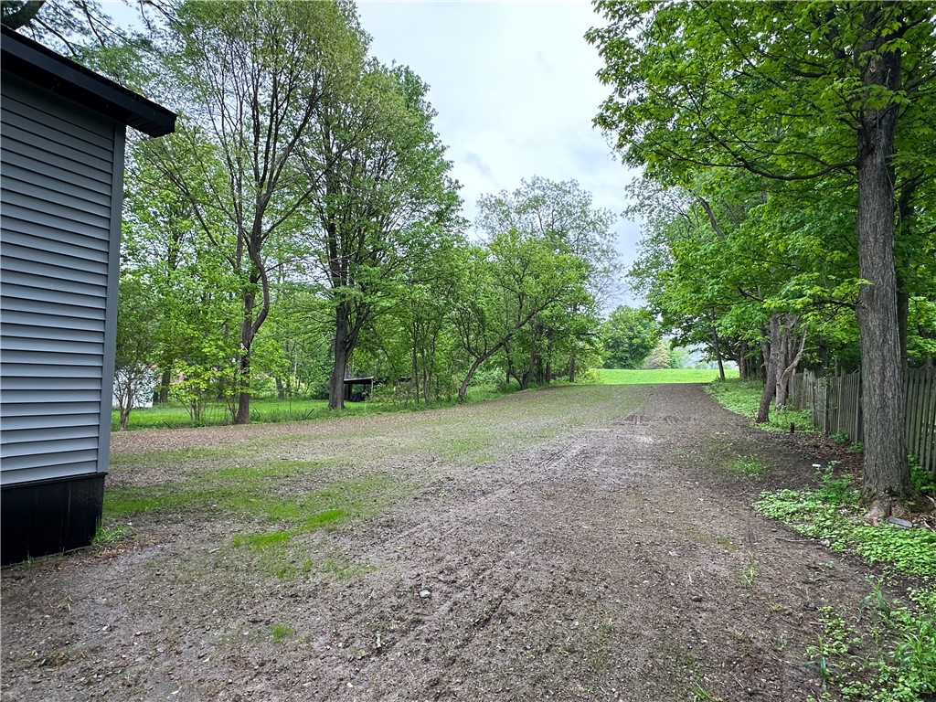 258 Mcmaster Street, Bath, New York image 35
