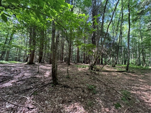 Vacant Land For Sale - 5757 State Highway 7<br/> Oneonta, NY 13820