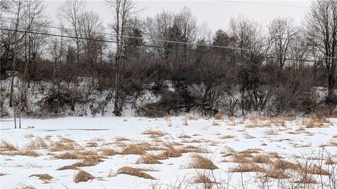 Vacant Land For Sale - Algerine Street<br/> Afton, NY 13730