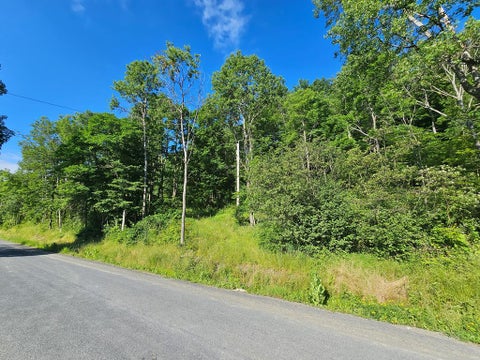 Photo for 147 Jenkins Road