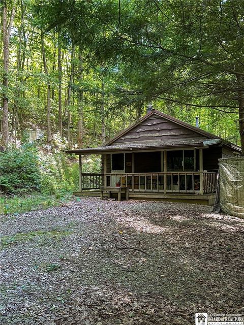 Vacant Land For Sale - 867 Lippert Hollow Road<br/> Allegany, NY 14706