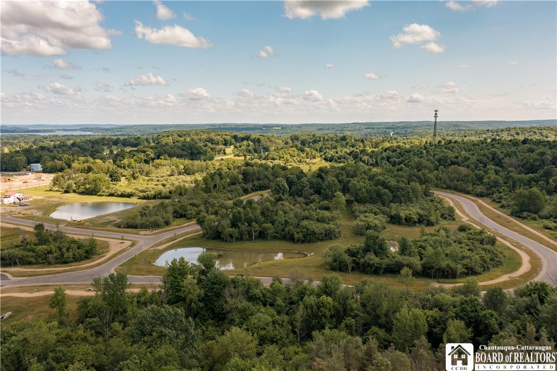 39 Mandolin Ridge, Chautauqua, New York image 8