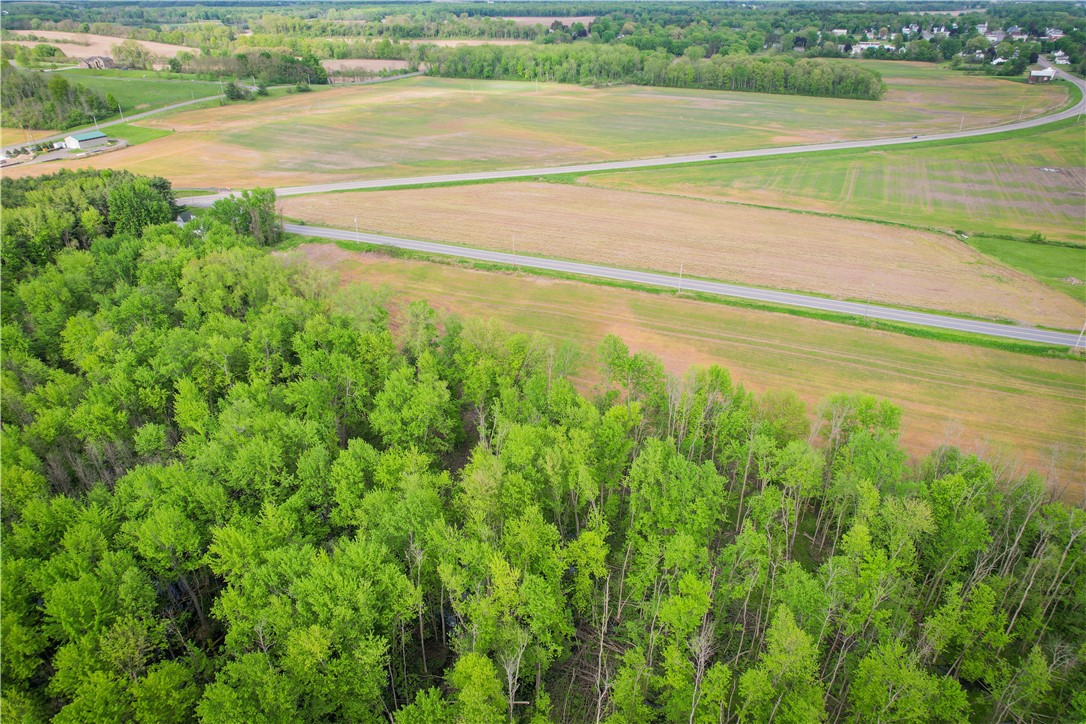 Route 31 & Hogback W, Savannah, New York image 40