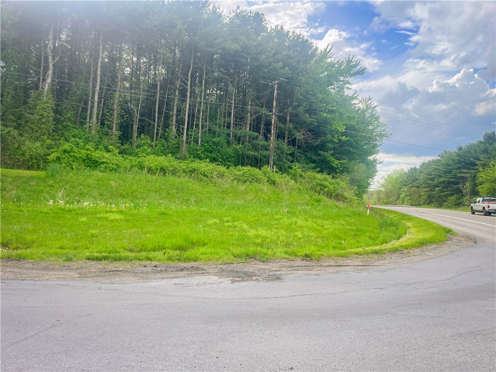 Route 31 & Hogback W, Savannah, New York image 44