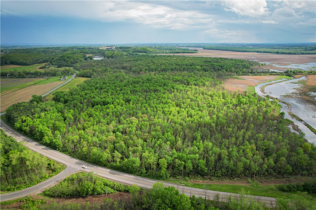 Route 31 & Hogback W, Savannah, New York image 36