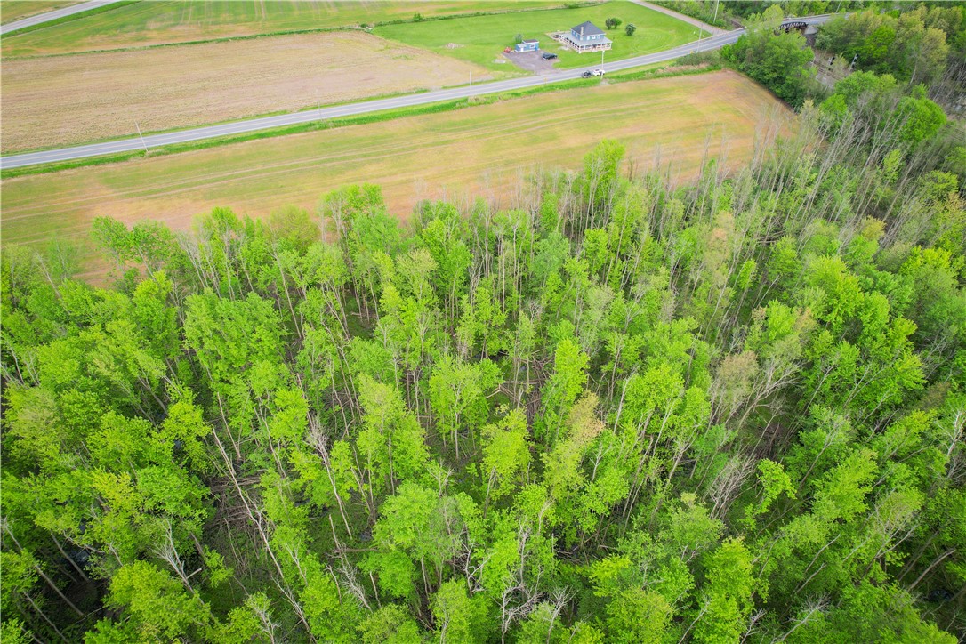 Route 31 & Hogback W, Savannah, New York image 41