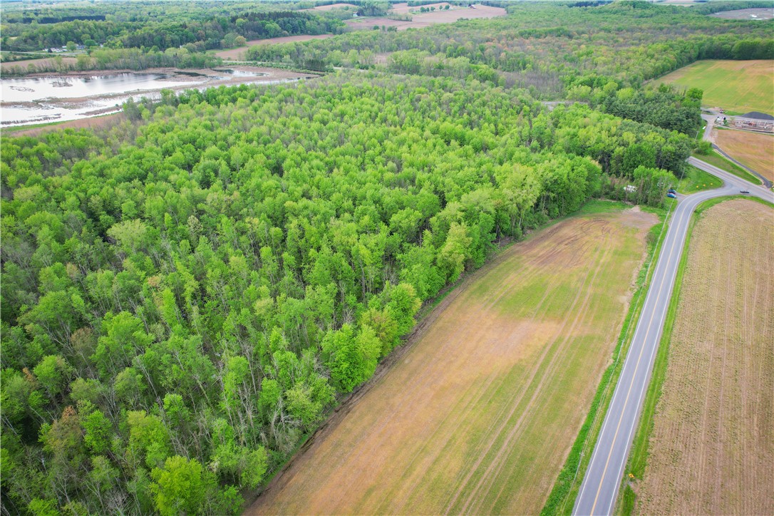 Route 31 & Hogback W, Savannah, New York image 3