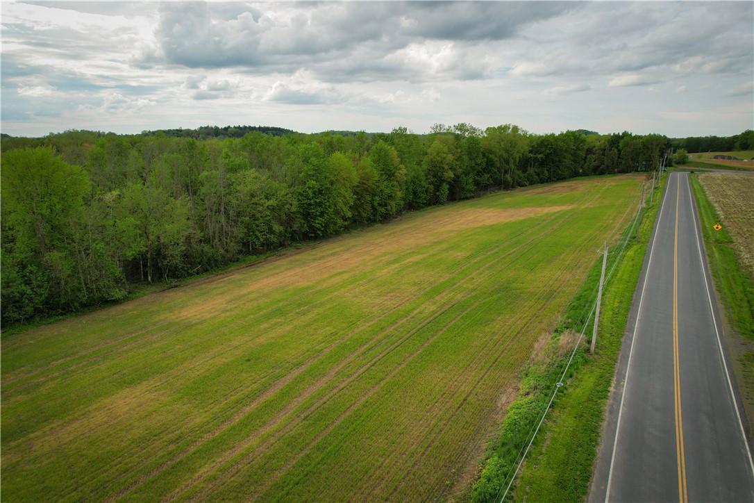 Route 31 & Hogback W, Savannah, New York image 2
