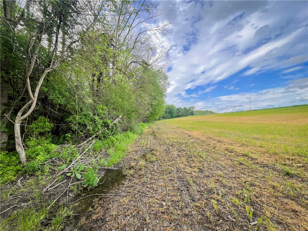 Route 31 & Hogback W, Savannah, New York image 16