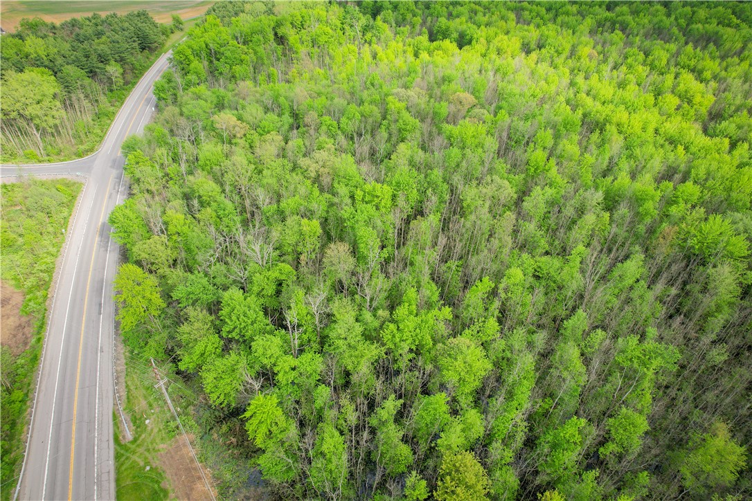 Route 31 & Hogback W, Savannah, New York image 35