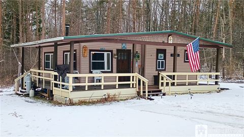 Vacant Land For Sale - 4529 Hartigan Road<br/> Friendship, NY 14739