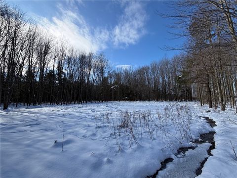 Photo of 0 Carpenter Road, Evans, NY 14006 (MLS # R1661479)