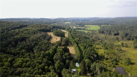 Vacant Land For Sale - Goddards Road<br/> New Lisbon, NY 13315