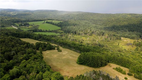Vacant Land For Sale - Goddards Road<br/> Otsego County, New Lisbon, NY 13315