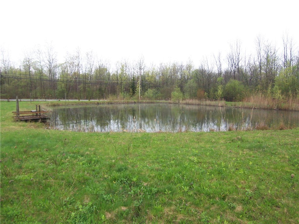 3773 Ridge Rd Rd, Williamson, New York image 7