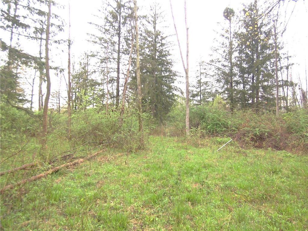 3773 Ridge Rd Rd, Williamson, New York image 8
