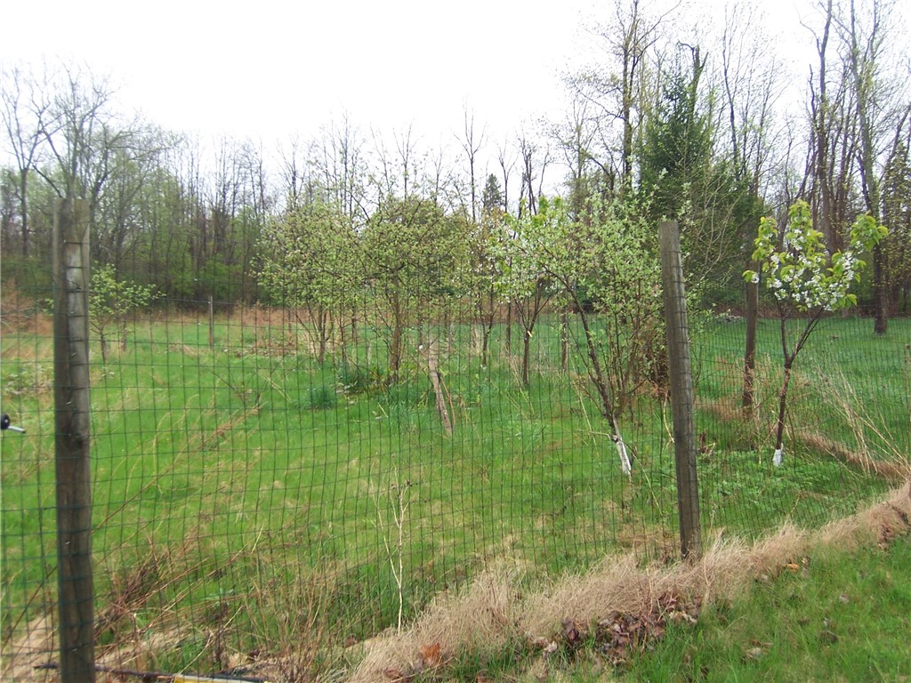 3773 Ridge Rd Rd, Williamson, New York image 6