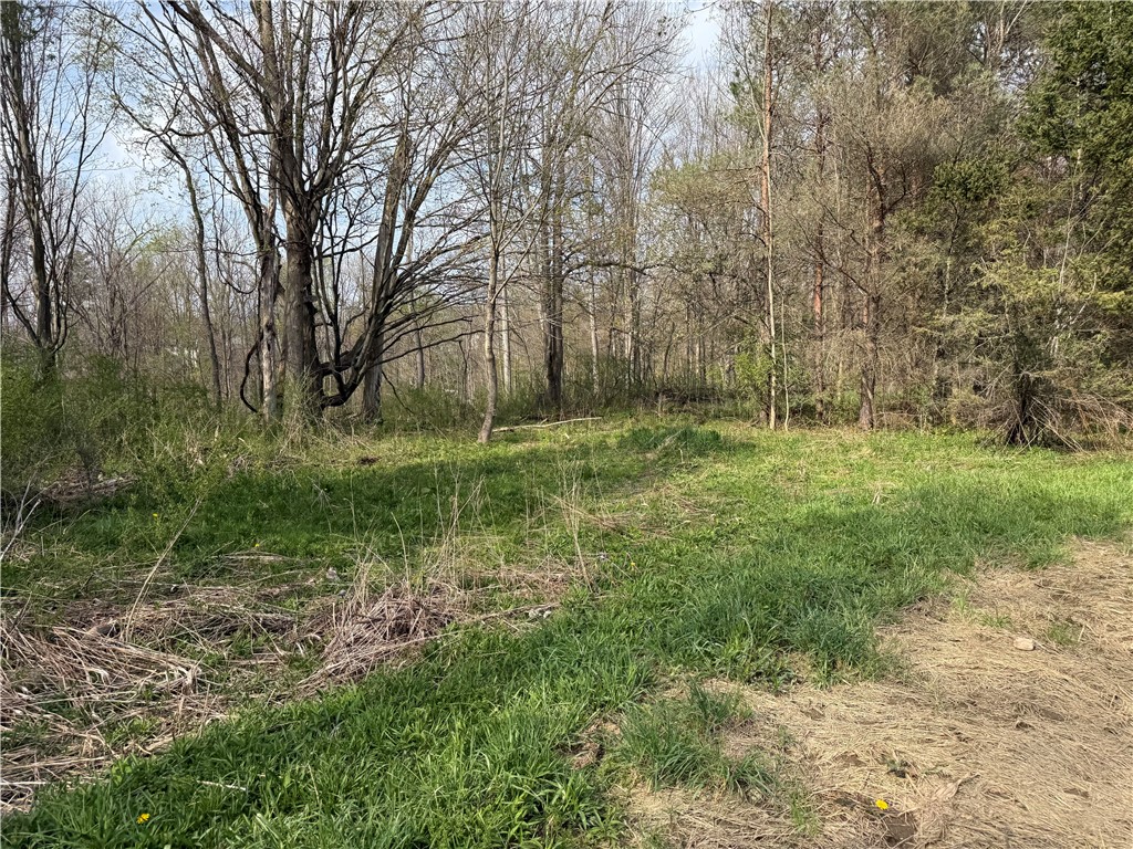 14245 collin ctr zoar road