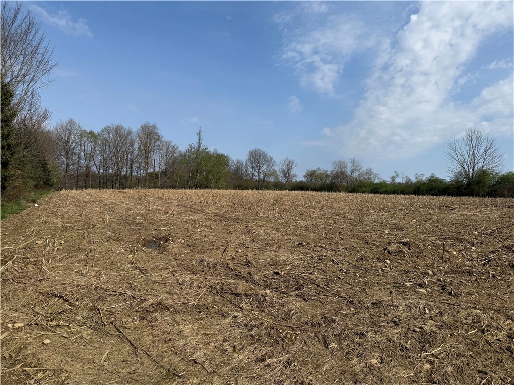 14245 collin ctr zoar road