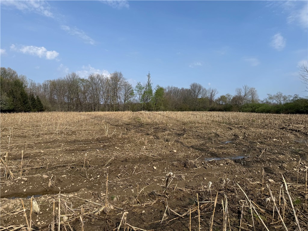 14245 collin ctr zoar road