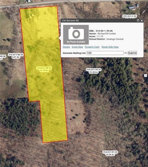 Vacant Land For Sale - 236 Burrows Road<br/> Unadilla, NY 13849
