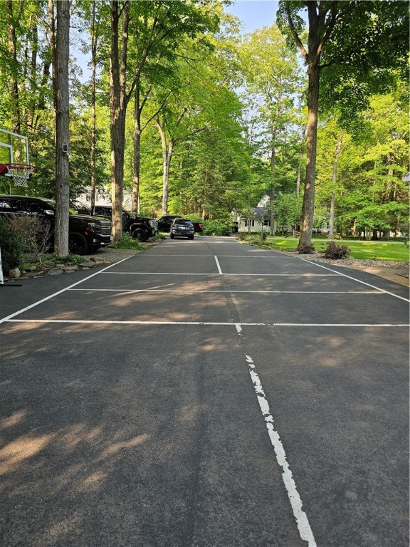 52 Woodland Drive, Big Flats, New York image 5