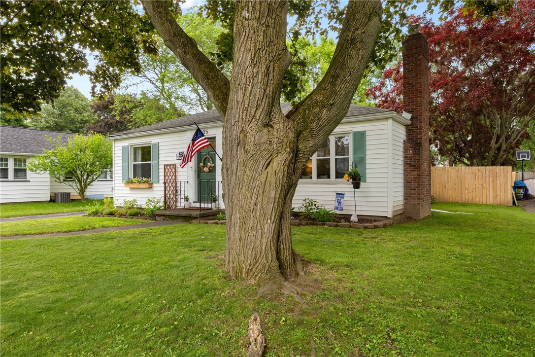 Search Properties 3 205 dake avenue