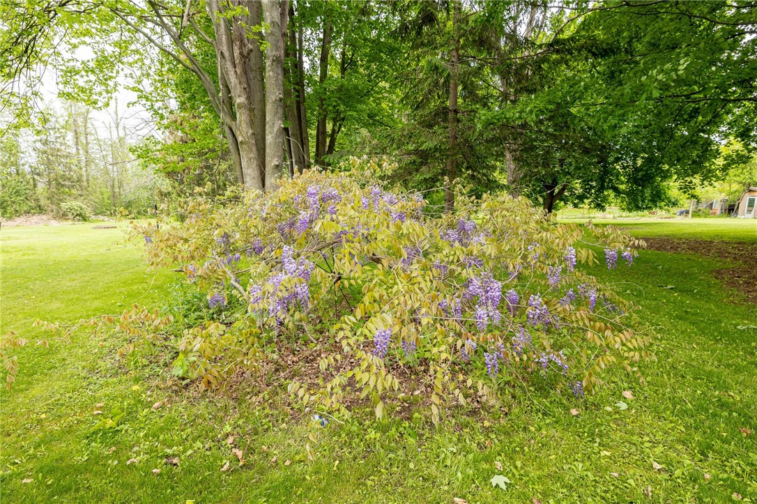 6695 Fisher Road, Ontario, New York image 37