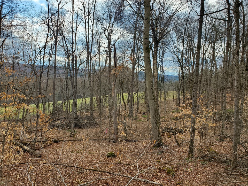 Lot 3 4 & 5 Goddards Road, New Lisbon, New York image 16