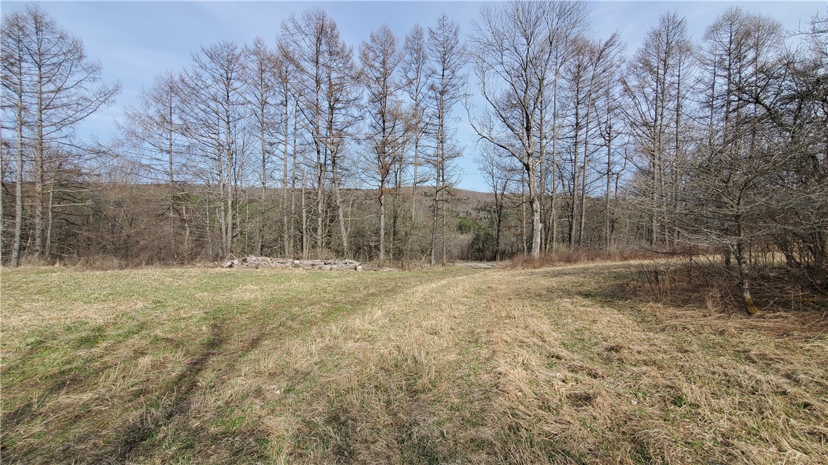 Lot 3 4 & 5 Goddards Road, New Lisbon, New York image 10