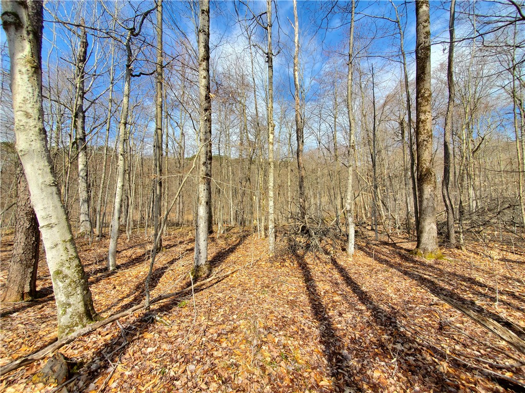 Lot 3 4 & 5 Goddards Road, New Lisbon, New York image 17