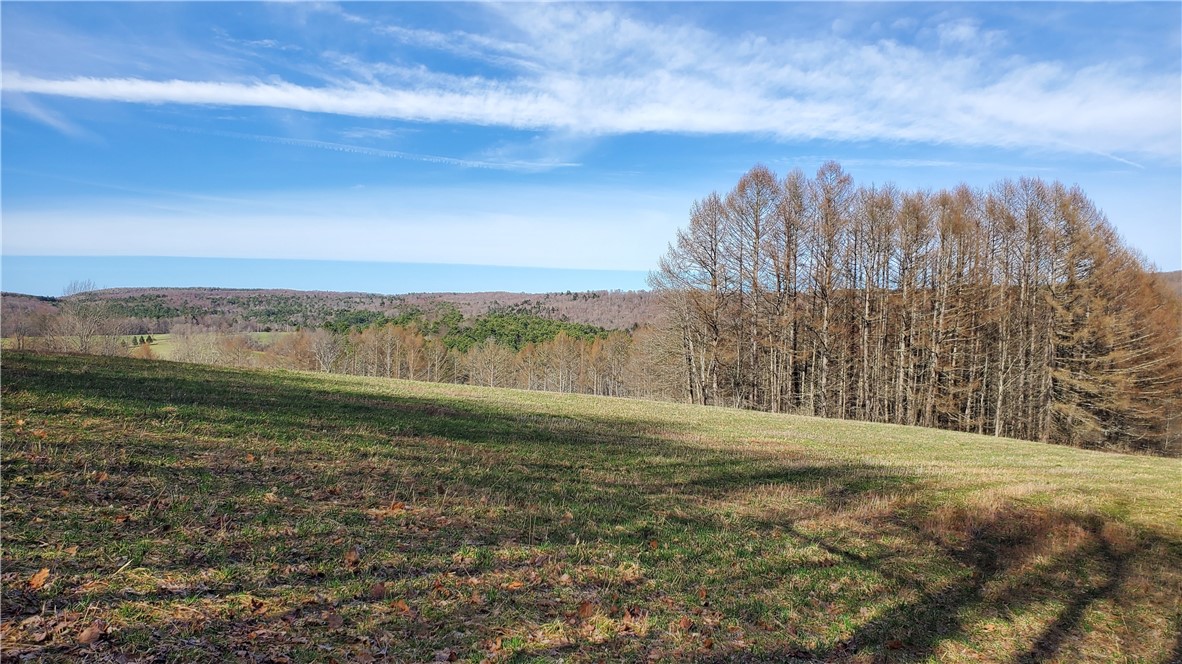 Lot 3 4 & 5 Goddards Road, New Lisbon, New York image 3