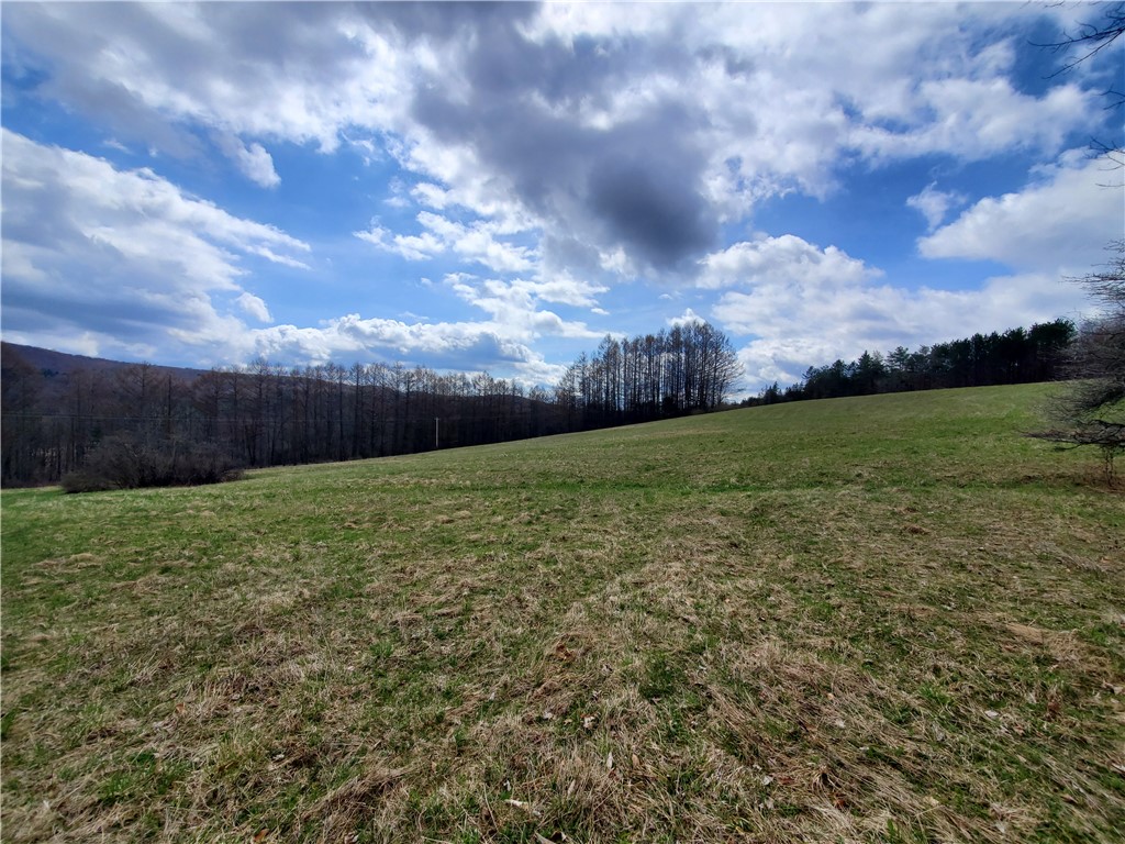 Lot 3 4 & 5 Goddards Road, New Lisbon, New York image 6
