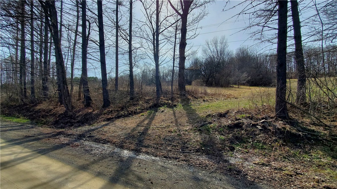 Lot 3 4 & 5 Goddards Road, New Lisbon, New York image 9