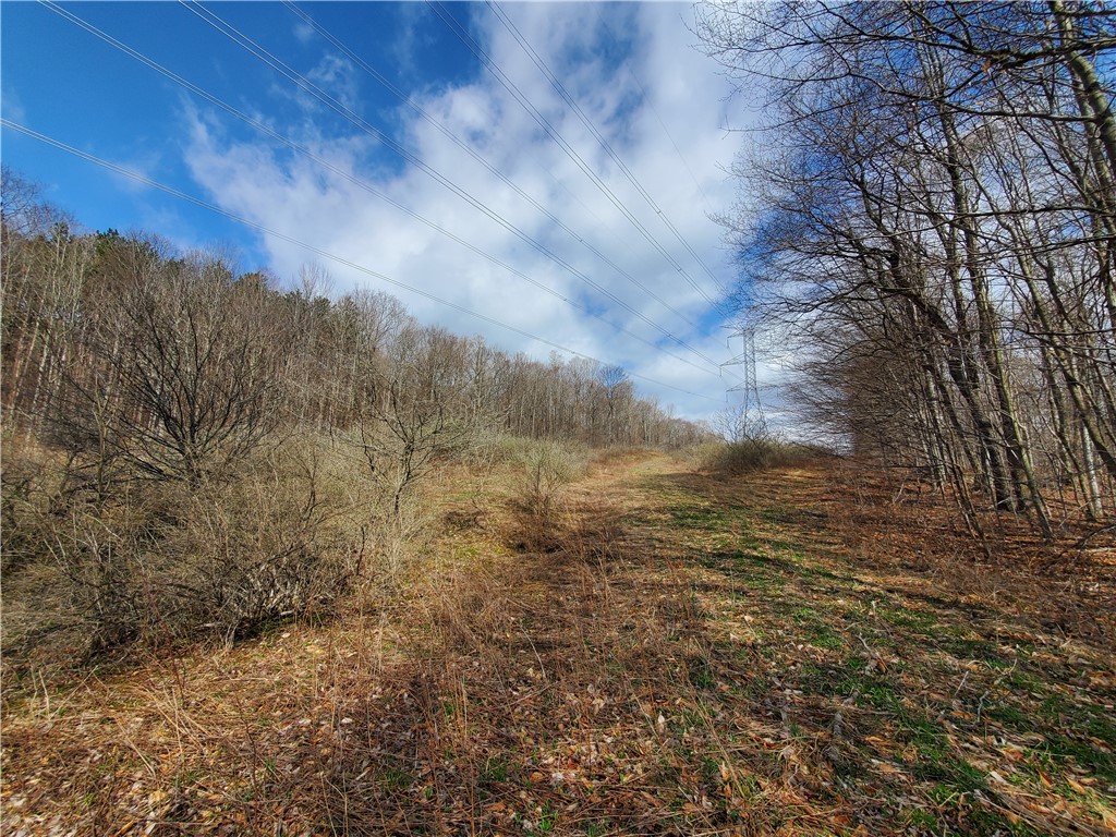 Lot 3 4 & 5 Goddards Road, New Lisbon, New York image 19